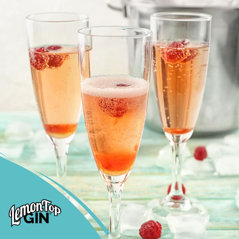 LemonTop Gin Raspberry Fizz Cocktail Recipe